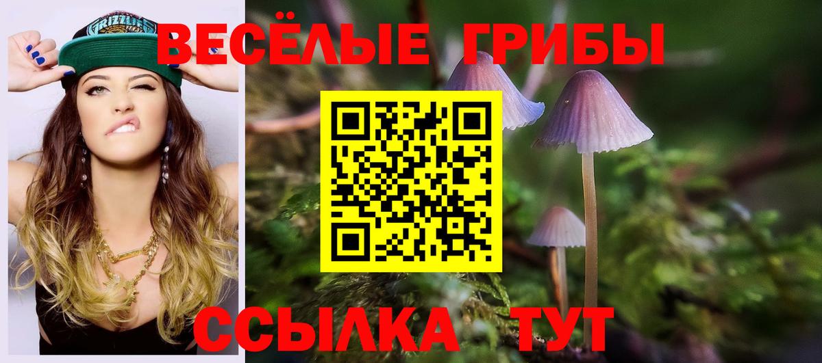 Добрянка  Галлюциногенные грибы ЛСД  где купить   Псилоцибиновые грибы GOLDEN TEACHER  Вход с VPN 